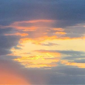 Meet your Posher, Kat